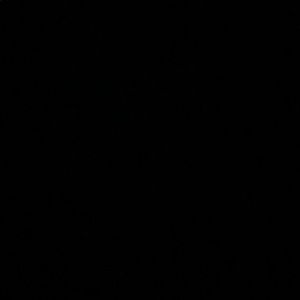 Meet your Posher, Ryann